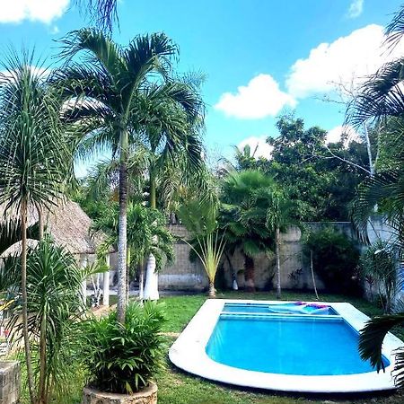 Green Paradise Leona Vicario المظهر الخارجي الصورة
