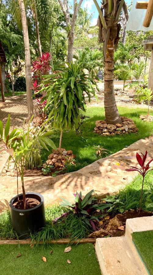 Green Paradise Leona Vicario المظهر الخارجي الصورة