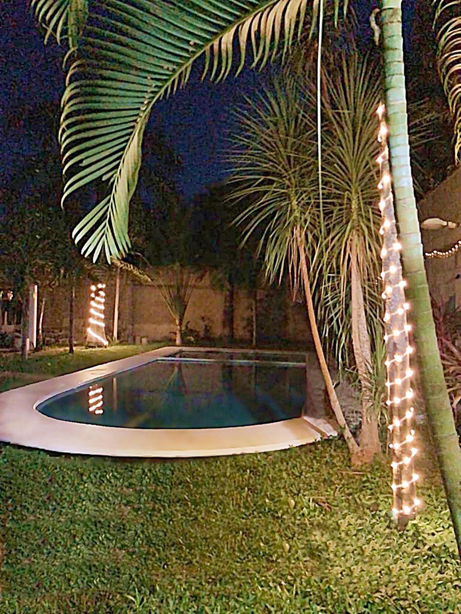 Green Paradise Leona Vicario المظهر الخارجي الصورة