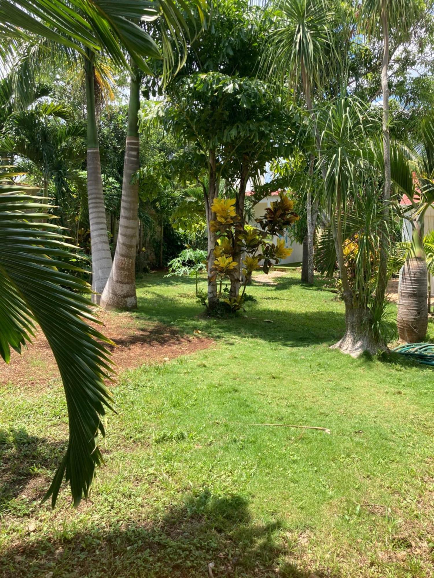 Green Paradise Leona Vicario المظهر الخارجي الصورة