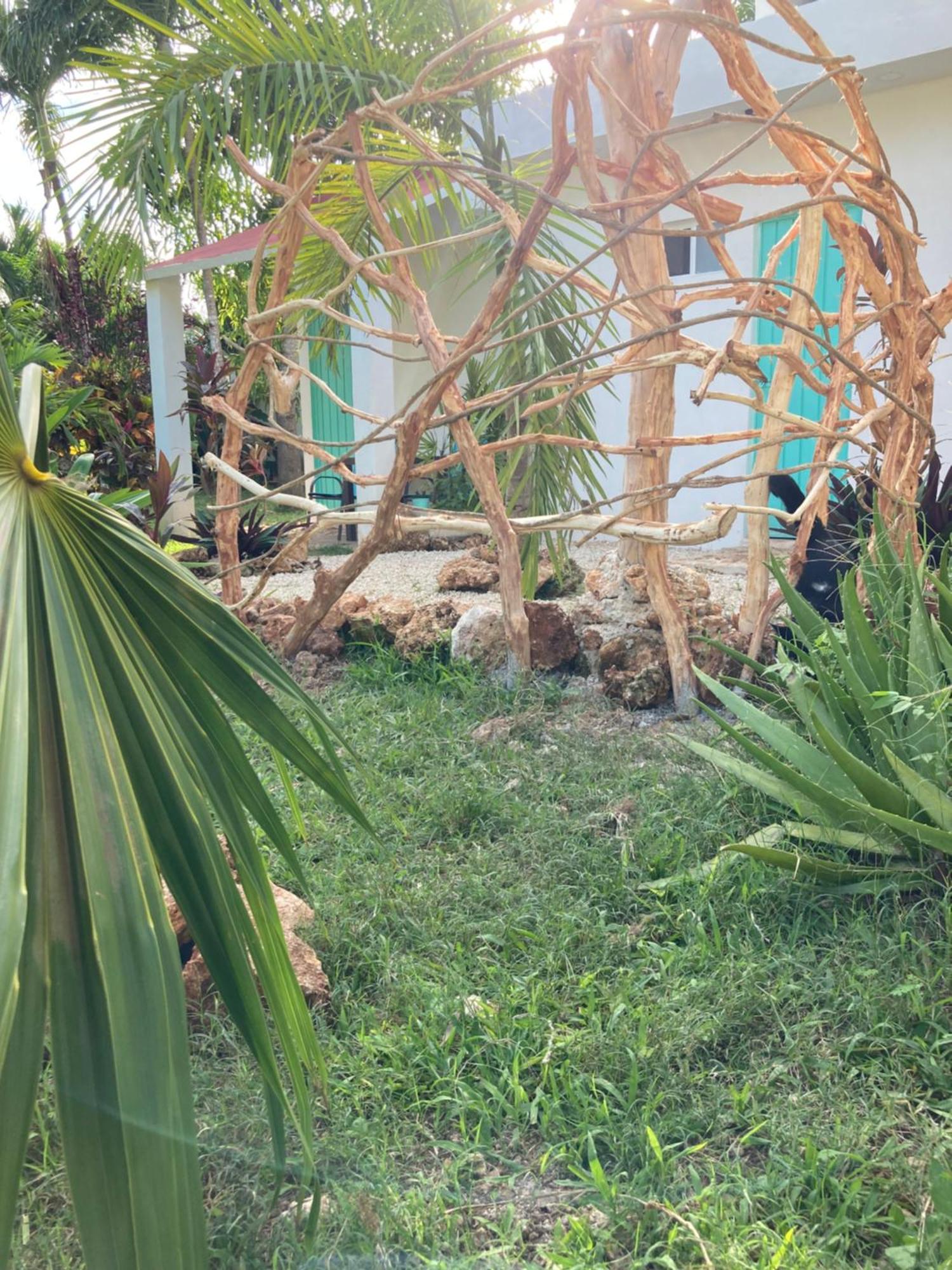Green Paradise Leona Vicario المظهر الخارجي الصورة