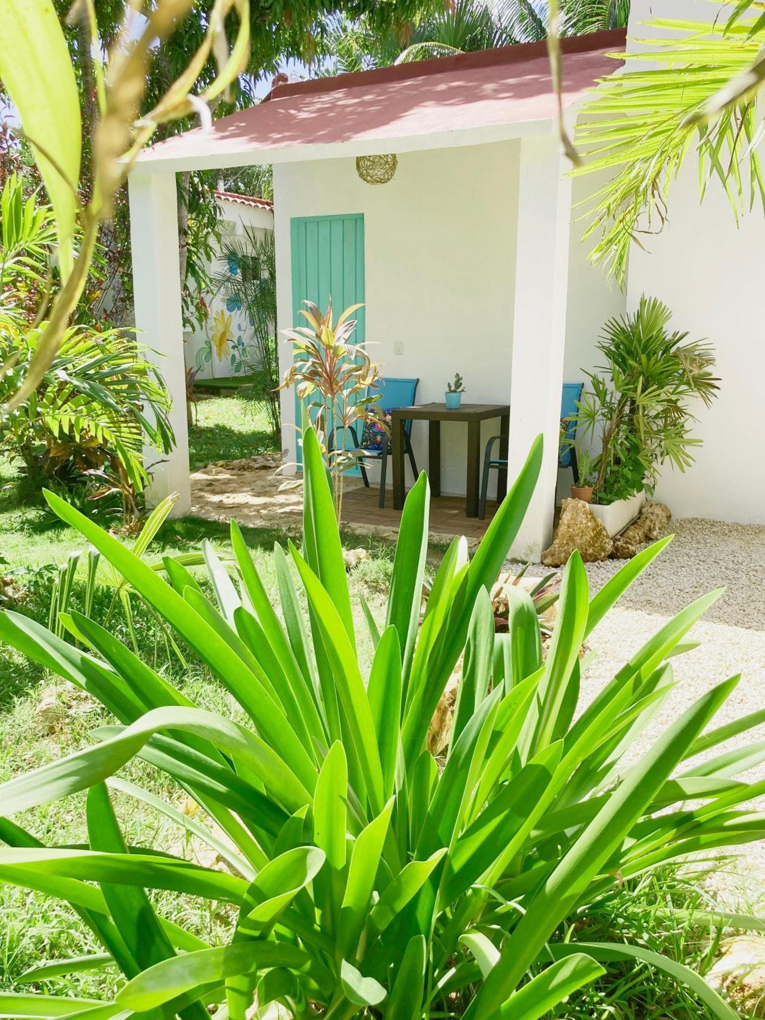 Green Paradise Leona Vicario المظهر الخارجي الصورة