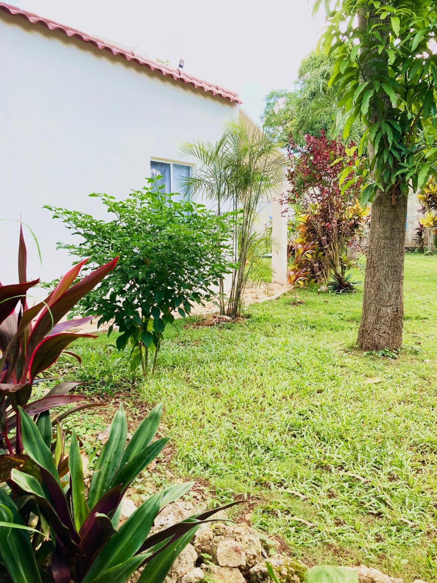 Green Paradise Leona Vicario المظهر الخارجي الصورة