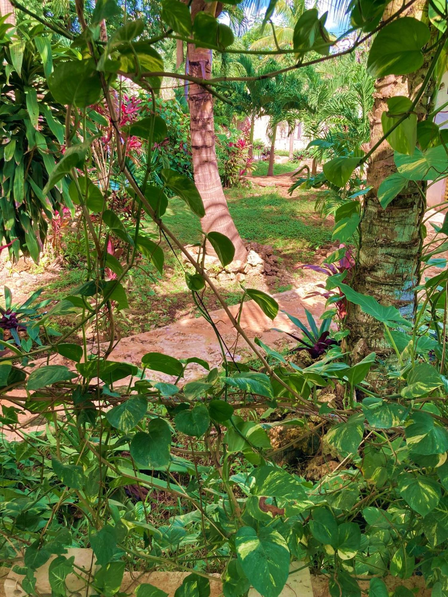 Green Paradise Leona Vicario المظهر الخارجي الصورة