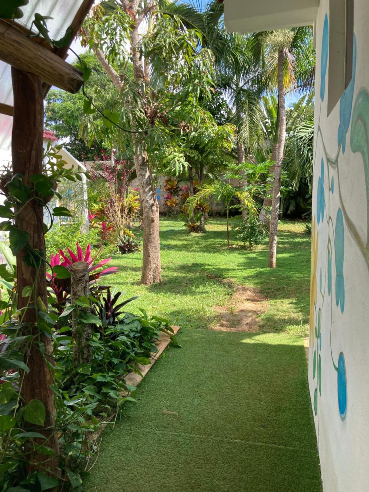 Green Paradise Leona Vicario المظهر الخارجي الصورة