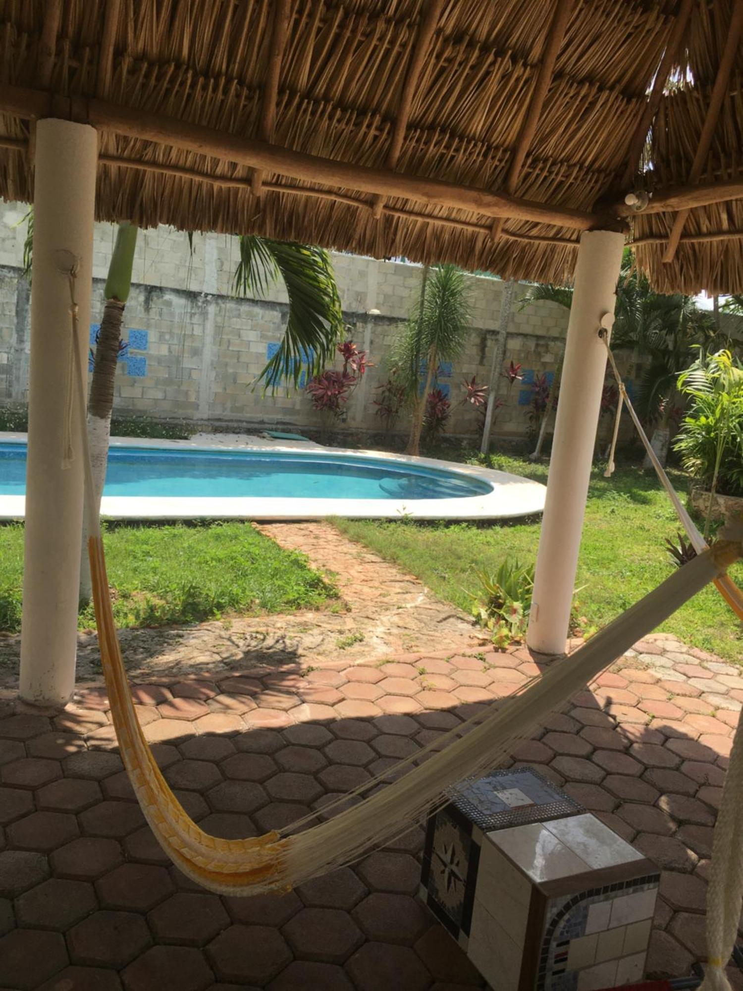 Green Paradise Leona Vicario المظهر الخارجي الصورة