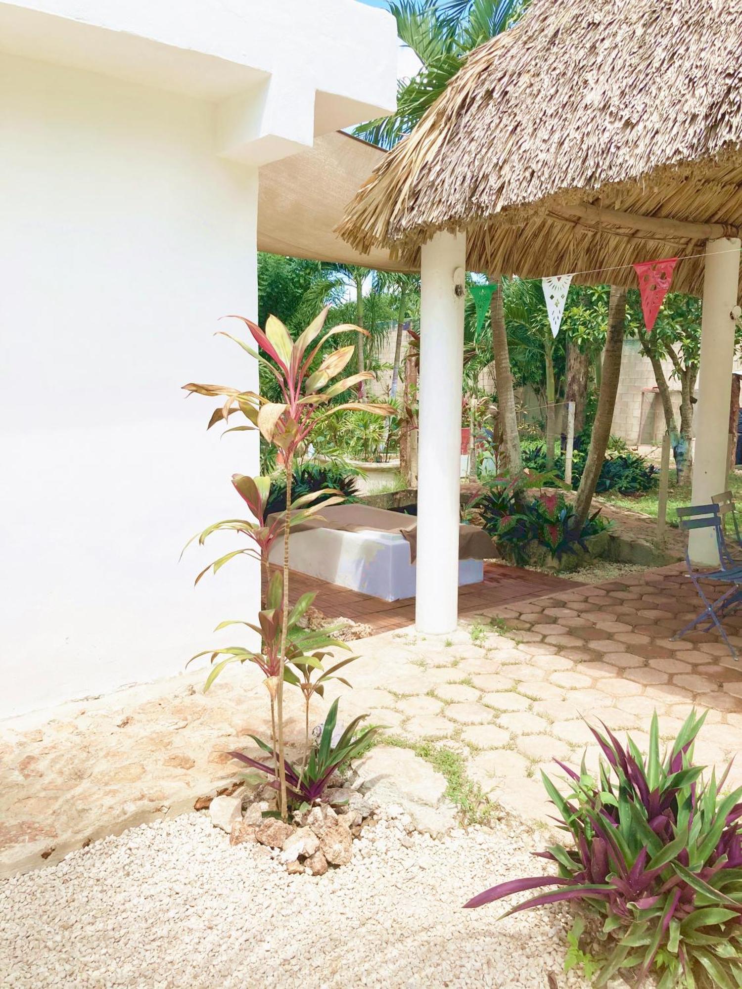 Green Paradise Leona Vicario المظهر الخارجي الصورة