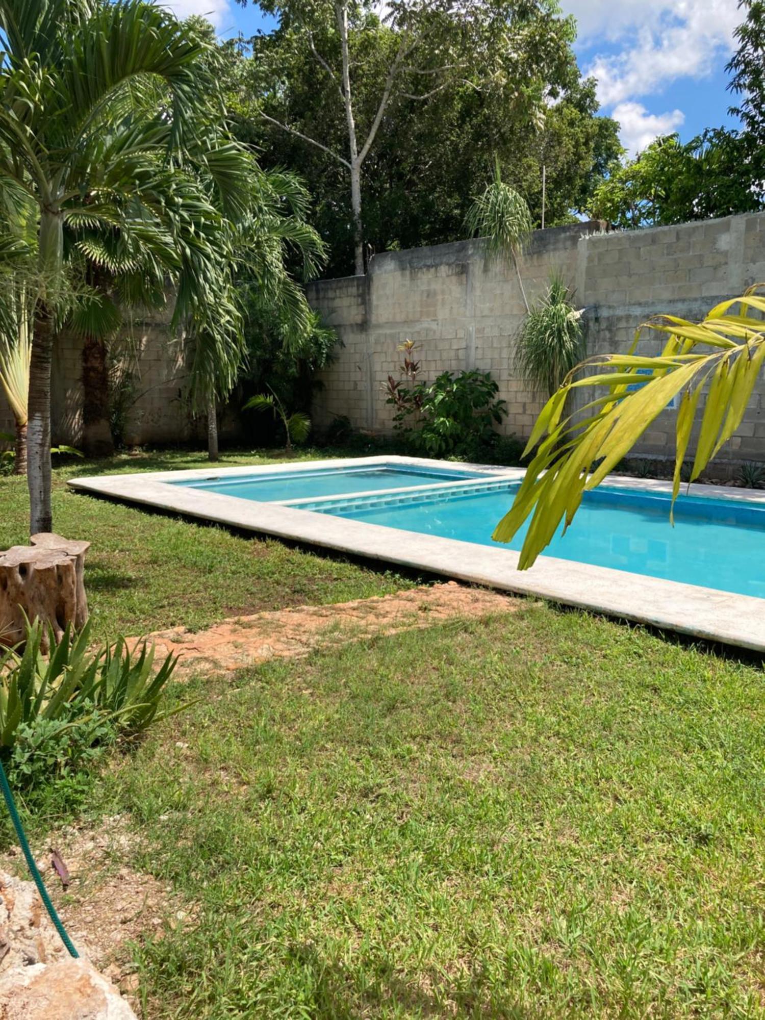 Green Paradise Leona Vicario المظهر الخارجي الصورة